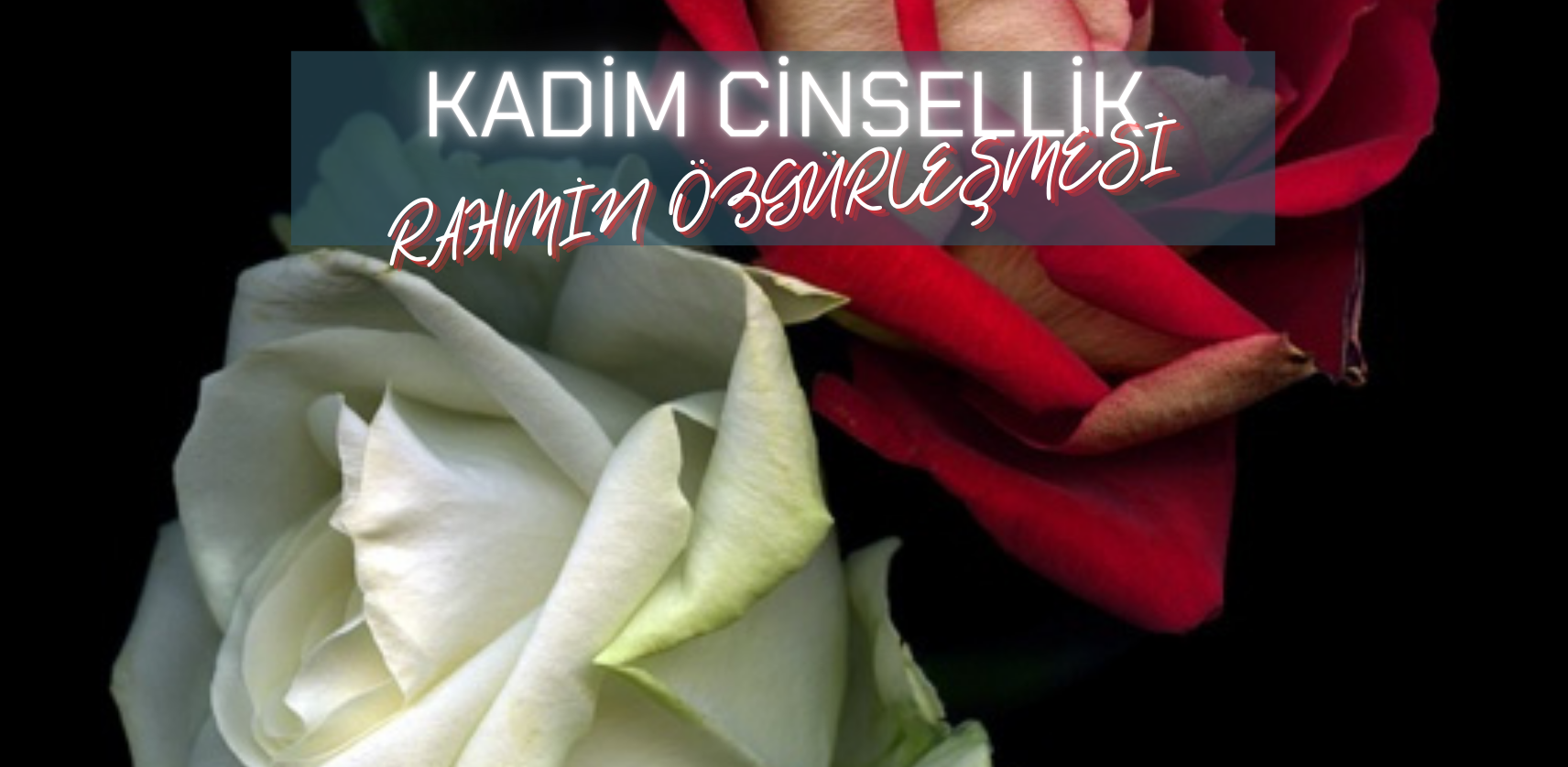 KADİM CİNSELLİK RAHMİN ÖZGÜRLEŞMESİ